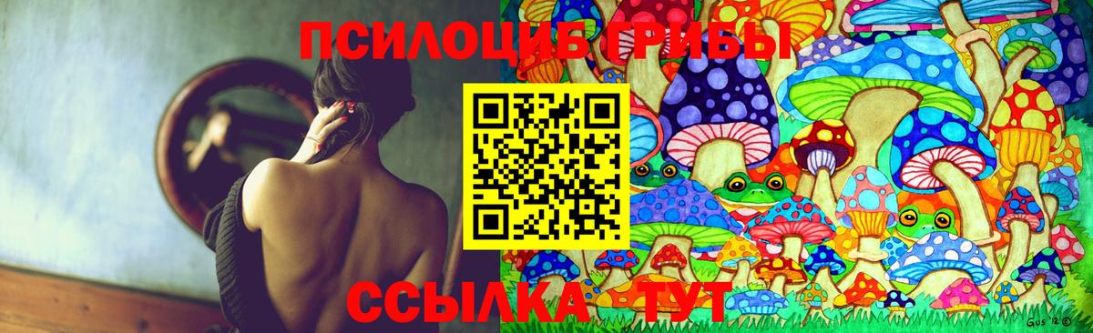 Усолье-Сибирское  Галлюциногенные грибы Psilocybine cubensis  Вход с VPN 