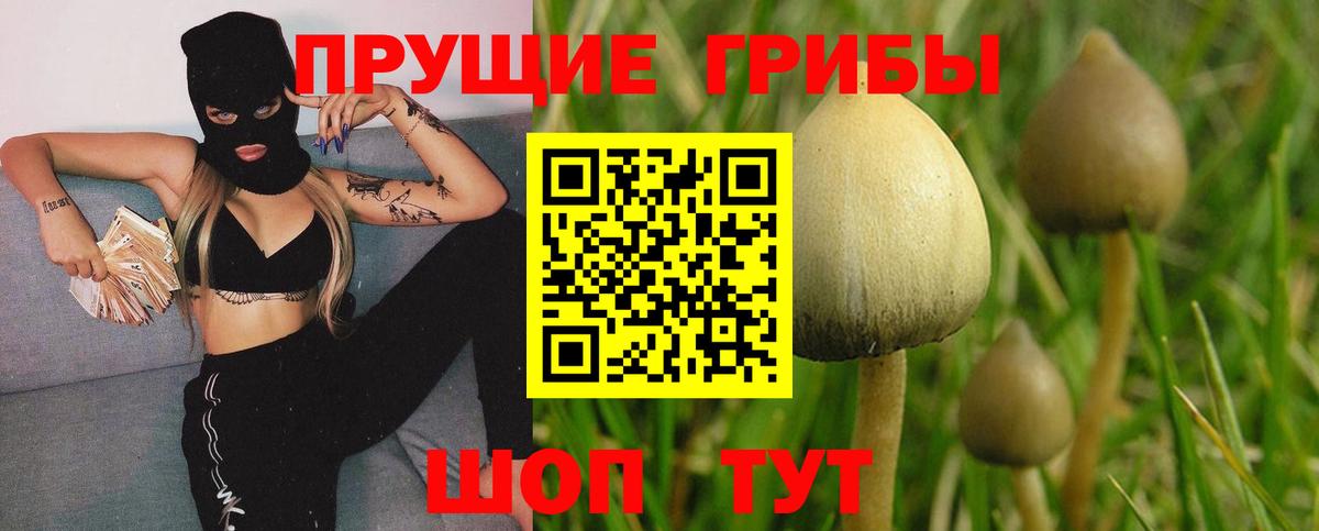 Галлюциногенные грибы MAGIC MUSHROOMS Усолье-Сибирское